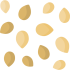 sesame